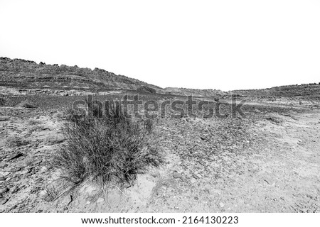 Breathtaking landscape of the rock formations in the Israel desert in black and white. Lifeless and desolate scene as a concept of loneliness, hopelessness and depression.