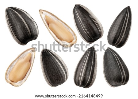 sunflower seed, isolated on white background, clipping path, full depth of field Royalty-Free Stock Photo #2164148499
