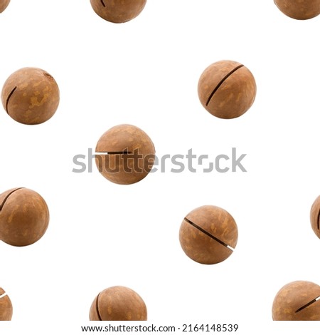 Macadamia nut isolated on white background, SEAMLESS, PATTERN