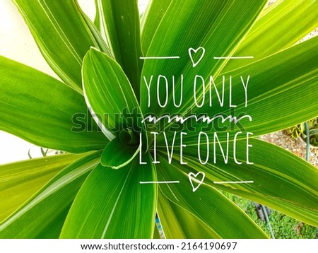 inspirational motivational quote. You Only Live Once in nature background.