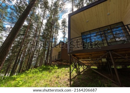 House or hotel with panoramic windows in pine forest. Beautiful summer morning with light sun. Nature or resting and travel concept