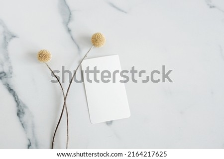 Blank paper sheet cards mockup and dry flowers top view on marble  background. Copy space. Flat lay   minimal business brand template neutral color. Card mock up.