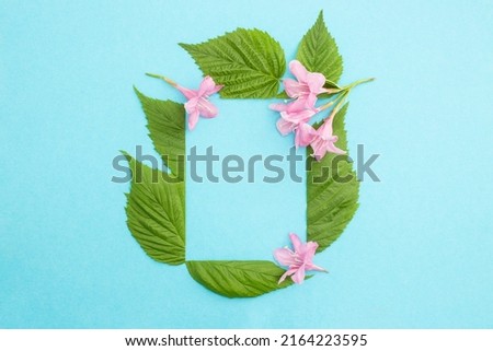 rectangular frame made from cut leaves and pink flowers on light blue background. Close up of a beautiful floral frame.