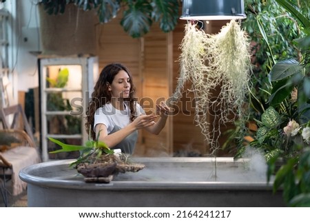 Happy young woman gardener taking care about aquatic plant in greenhouse, holding houseplant under freestanding bath with water, touching green leaves. Greenery at home garden, love for plants, hobby.