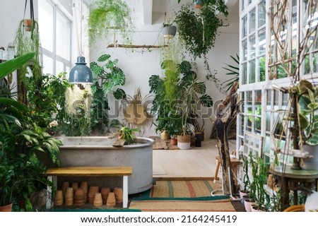 Home garden in retro style. Scandinavian interior design of winter indoor garden with houseplants. Old house orangery with potted tropic flowers, monstera, ceramic pots in boho. Greenhouse concept Royalty-Free Stock Photo #2164245419