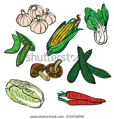 Vegetable Color Set