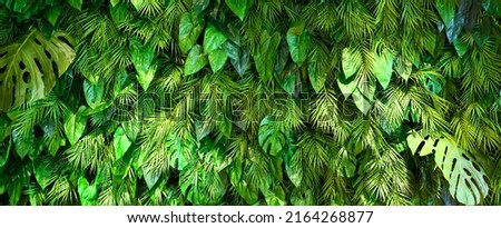 Landscaping wall texture background, vertical garden with green plants inside office or home. Panoramic lush foliage pattern indoor, leaves decor in modern house interior. Eco design and nature.  Royalty-Free Stock Photo #2164268877