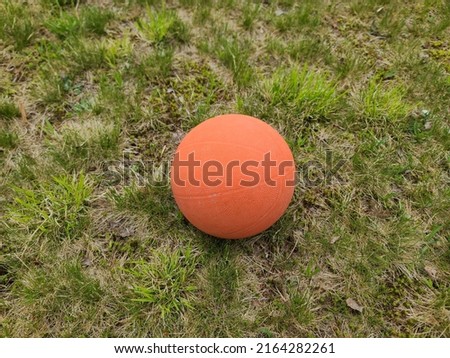 An orange basketball left sitting in the grass.