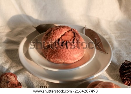 Homemade choux pastry with cream. on white background under sunlight. Selective focus, copy space. Popular French dessert.