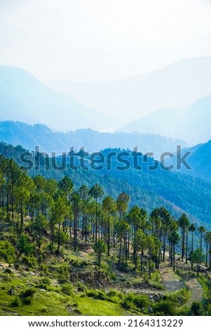 Manali Nature Landscape Mountain Trees