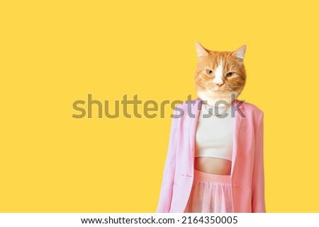 Fashionable cat with human body on yellow background