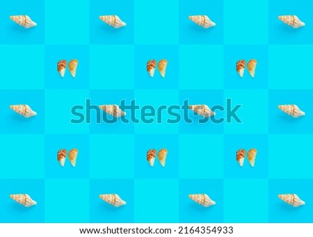 Flat Lay wallpaper background image of coastal seashells on a checkered blue background