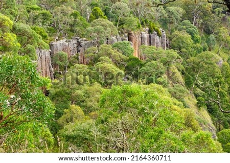 Organ pipe-like rock formations near Ebor Falls - Dorrigo, NSW, Australia Royalty-Free Stock Photo #2164360711