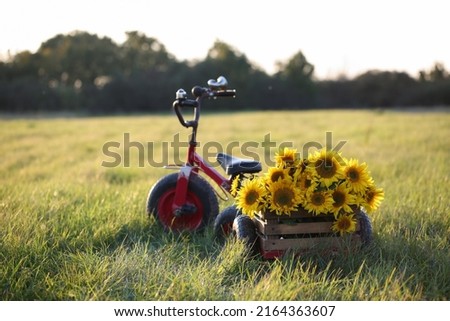 Children's bike trailer with sunflowers. Summer holidays in the countryside. Сarefree childhood, country lifestyle Royalty-Free Stock Photo #2164363607