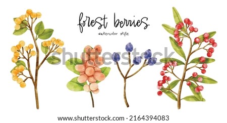 Branch of berries with leaves  watercolor illustration for Decorative Element 