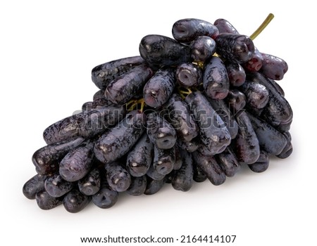 Purple Witch Finger grapes isolated on white background, Moon Drops grape or Witch Fingers isolated on white With clipping path.