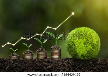  Light bulb is located on soil. plants grow on stacked coins Renewable energy generation is essential for the future. Renewable energy-based green business can limit climate change and global warming. Royalty-Free Stock Photo #2164429199