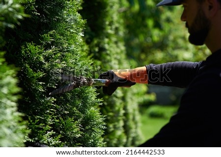Man Gardener in gloves trimming hedge with garden shears. Cutting with scissors. Royalty-Free Stock Photo #2164442533