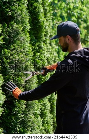 Man gardener in gloves with garden shears cutting a hedge in the garden. 
trimming arborvitae hedge. Profession Royalty-Free Stock Photo #2164442535