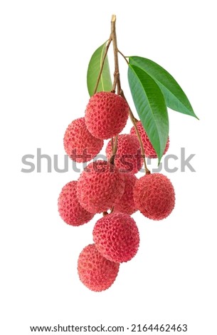 Bunch of Lychee isolate on white background. Royalty-Free Stock Photo #2164462463