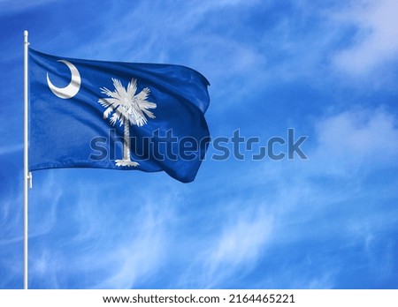 National flag of State of South Carolina on a flagpole