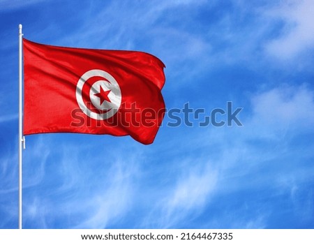 National flag of Tunisia on a flagpole