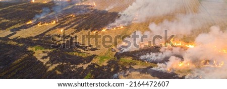Fire burn on rice plantation field after rice crop aerial view agricultural industry