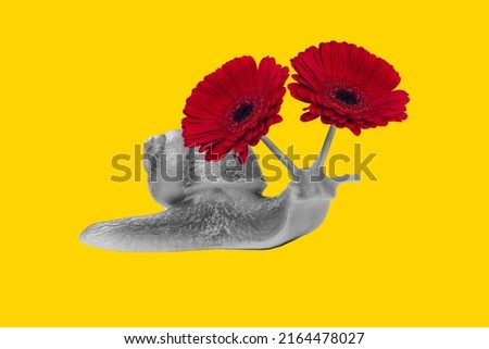 Creative collage picture of black white gamma snail two flowers instead eyes isolated on yellow background