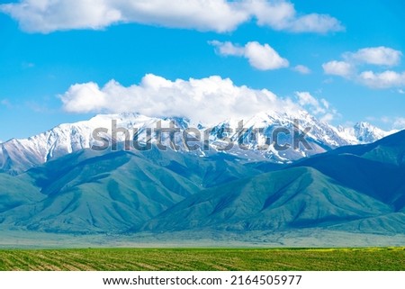 Mountains with a green field. Amazing photo of beautiful mountains. A green glade with stunning mountains on the background.