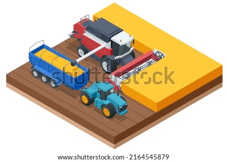 Grain harvesting combine. Combine harvester harvests ripe wheat. Agriculture concept. Reaping, threshing, gathering, and winnowing Royalty-Free Stock Photo #2164545879