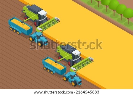 Grain harvesting combine. Combine harvester harvests ripe wheat. Agriculture concept. Reaping, threshing, gathering, and winnowing Royalty-Free Stock Photo #2164545883