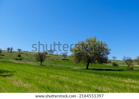 spring landscapes, spring images in continental climate, spring in turkey,