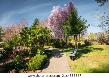 City of Brookings, Oregon. Azalea Park in spring on a sunny day.  Royalty-Free Stock Photo #2164583367