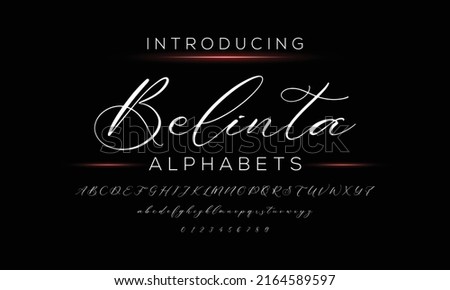 Hand drawn calligraphic vector monoline font. Distress signature letters. Modern script calligraphy type. ABC typography latin signature alphabet. Royalty-Free Stock Photo #2164589597