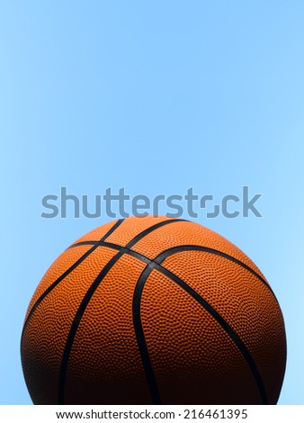 Single Basketball