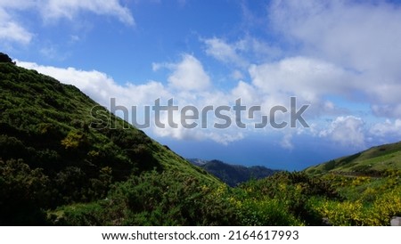 mountainous landscape. View of the mountains on the Queimadas Forest Park - Caldeirao Verde route. Madeira Island, Portugal, Europe.