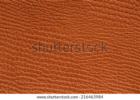 Brown Leather Background./ Brown Leather Background.