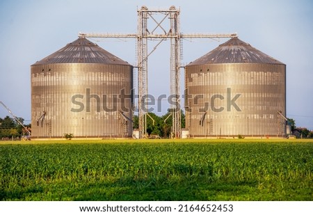 Silos for storing grain after the harvest. Agronomic and industry