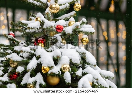 Decorated Christmas tree in the snow. Christmas balls on a fir branch in the snow. Glass red and yellow balls. Winter festive background for New Year design