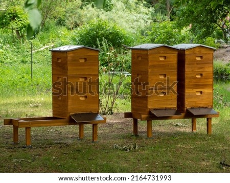 Hive. Bee hives. Wooden hives. Bees and beehive. Royalty-Free Stock Photo #2164731993