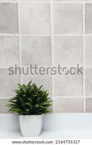 White pots with green plants on a white background with gray squares as a minimalist desktop or kitchen background