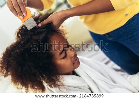 Mother doing head lice cleaning on her daughter curly hair. 