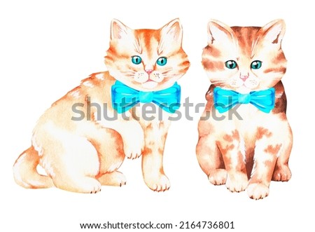 Kitty gentlemen in bow ties. Watercolor illustration. Isolated on a white background. For your design birthday greeting cards, baby products, veterinary clinic advertisements, stickers, pet products.