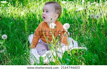portrait of cute baby boy sitting in green grass field,dry dandelions.soap balloons flying over the child. toddler emotions, happiness,funny face emotion. childhood concept.sunny spring day