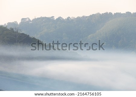 White cool morning fog over rainforest mountain, copy space for text and design