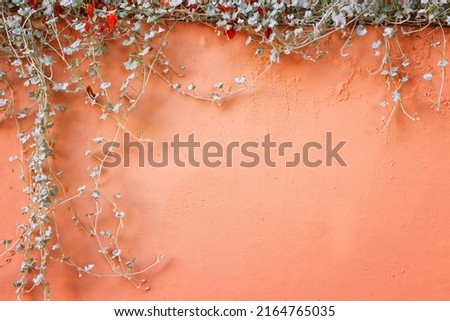 tropical clipping plant over old red wall background