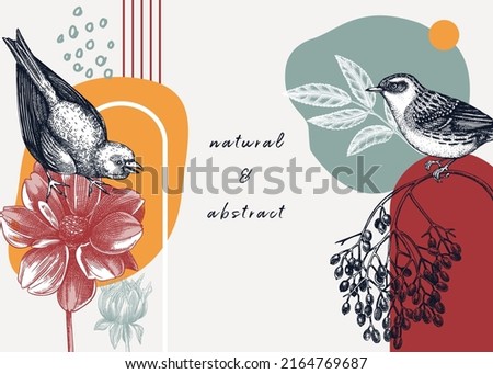 Collage-style bird background. Sketched bird trendy frame. Creative background with botanical illustration, geometric shapes, and abstract elements. Perfect for print, wall art, packaging and cards.