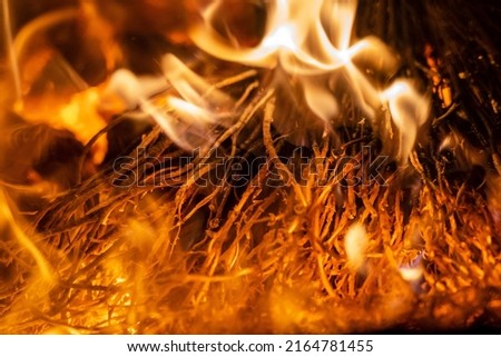 Close up photo of flames. Sparks from the bonfire