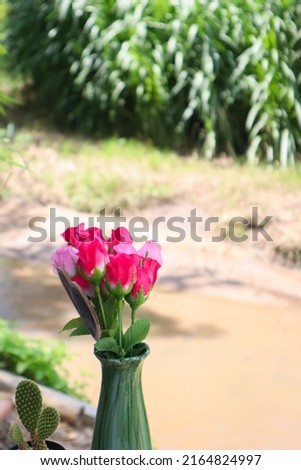 Beautiful Rose in vase on table.