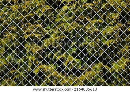 metal mesh,in the photo a mesh on a green background.